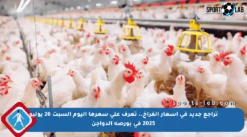 تراجع جديد في أسعار الفراخ.. تعرف على سعرها اليوم السبت 26 يوليو 2025 في بورصة الدواجن